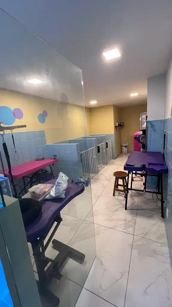 Área de tosa e secagem do Spa Pet Derme