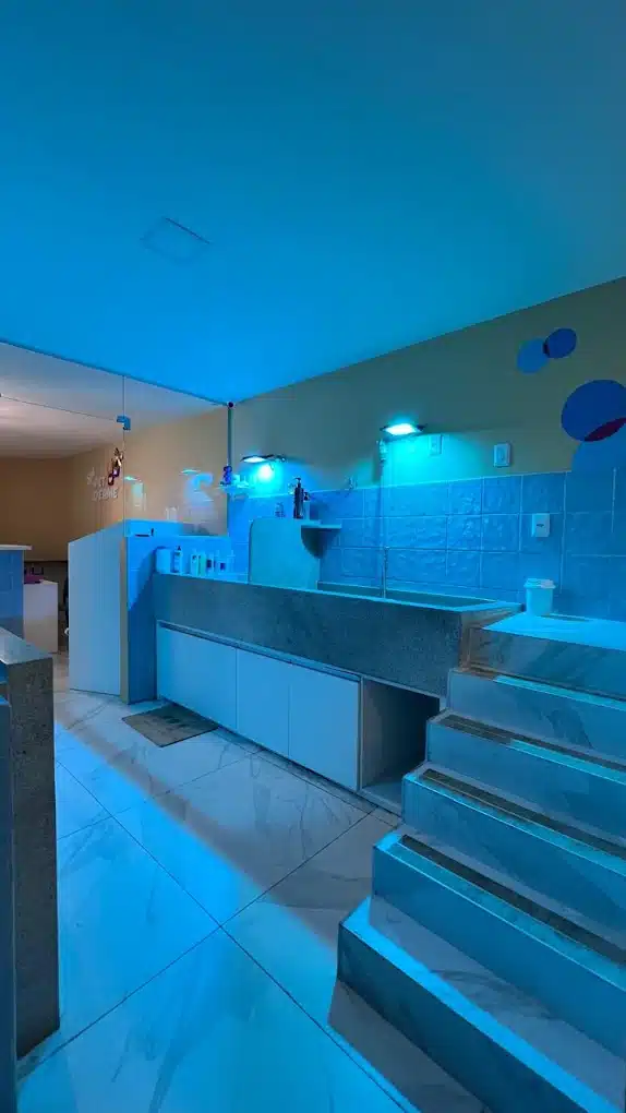Banheira de banho no Spa Pet Derme