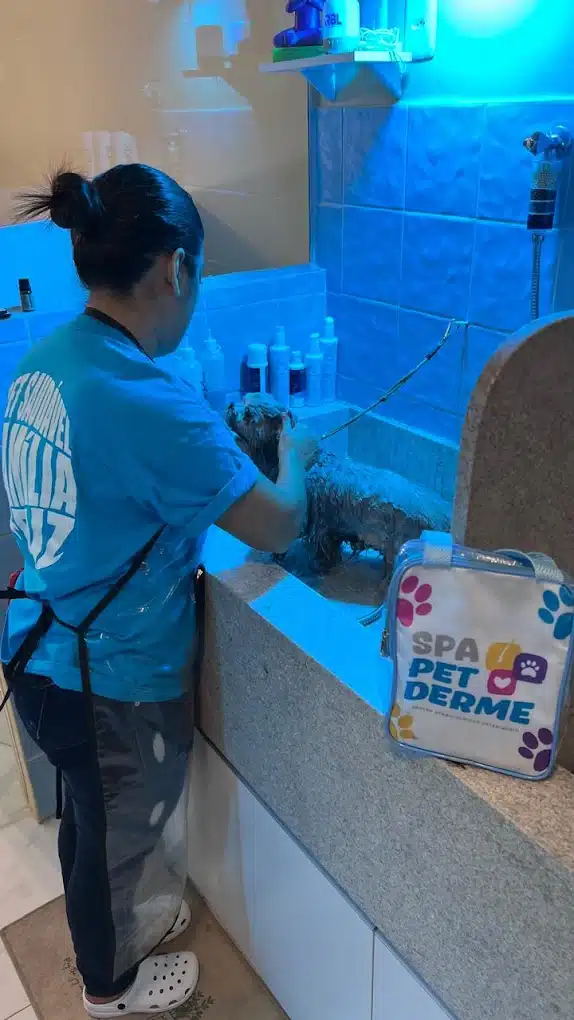Banho sendo realizado no Spa Pet Derme